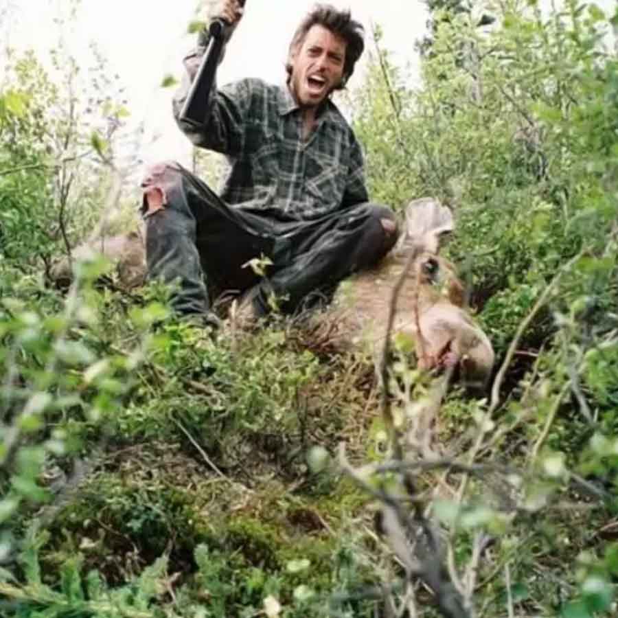 All need to know about Chris McCandless, American youth who left family for adventure and died in 24 