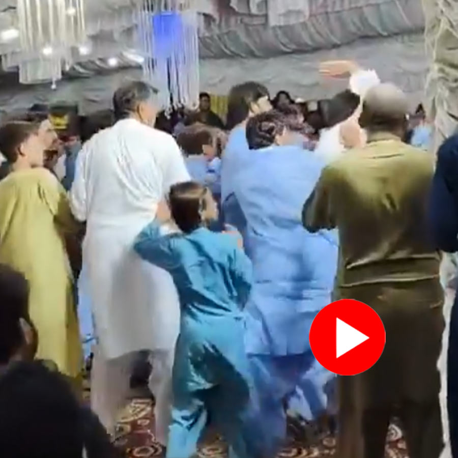Video of brawl between groom and bride side over a plate of biryani in Pakistan dgtl