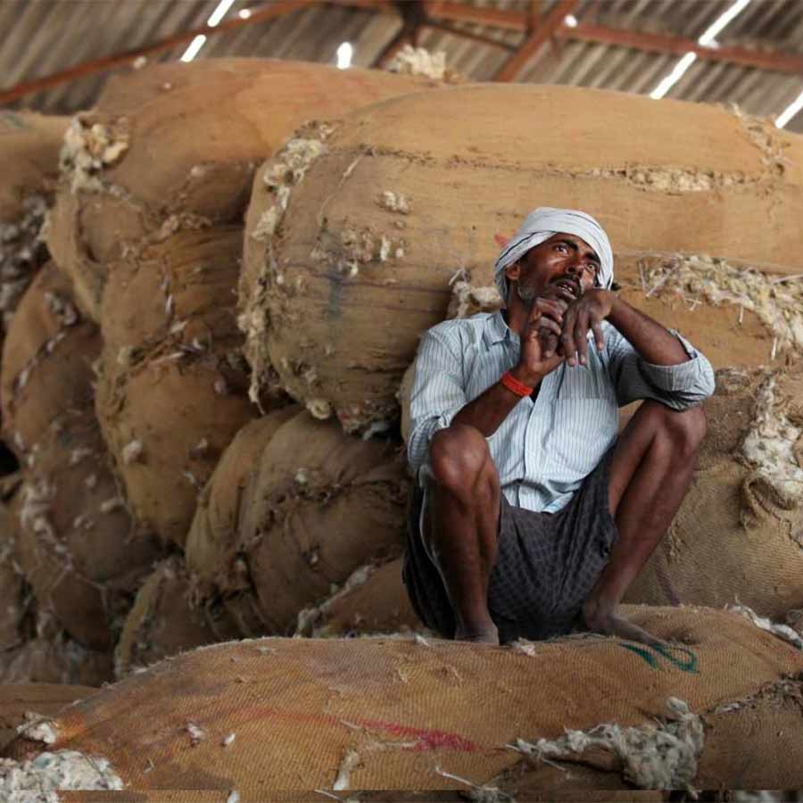 Questions rising regarding Central Government's new Labour law, but will it change the reality?