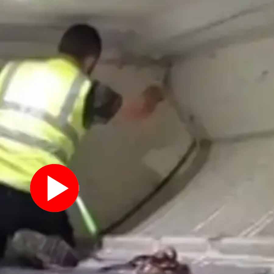 Video shows a snake crawling inside plane’s cargo area