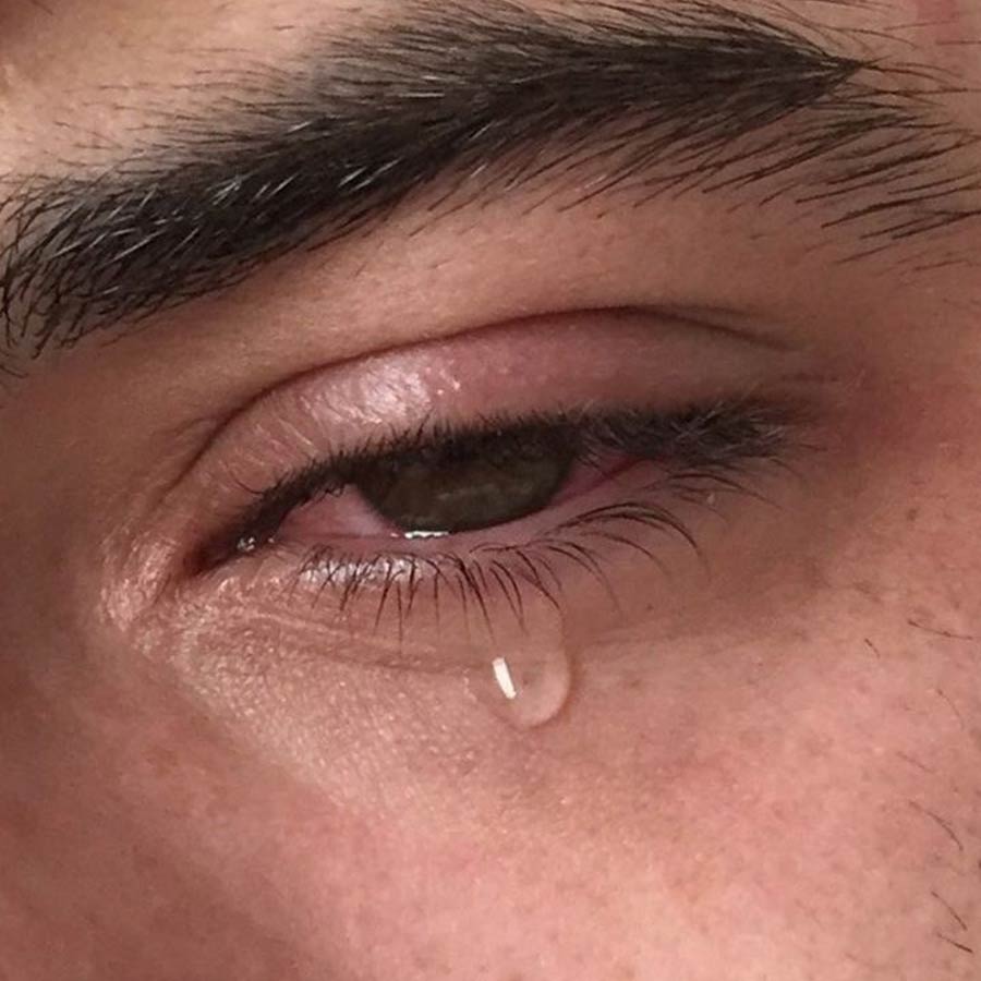 New study claims one drop of camel’s tear can neutralize 26 snake venoms