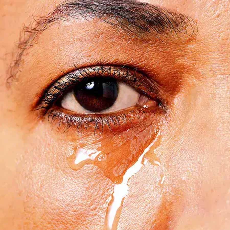 New study claims one drop of camel’s tear can neutralize 26 snake venoms