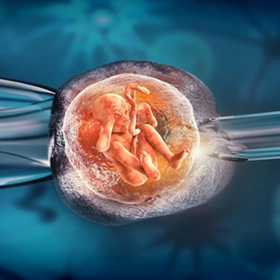 Taiwan Low Birth Rate