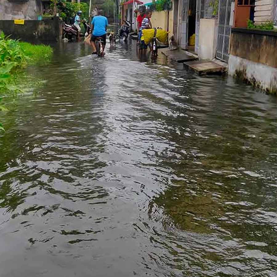 Monsoon season increases leptospirosis infections