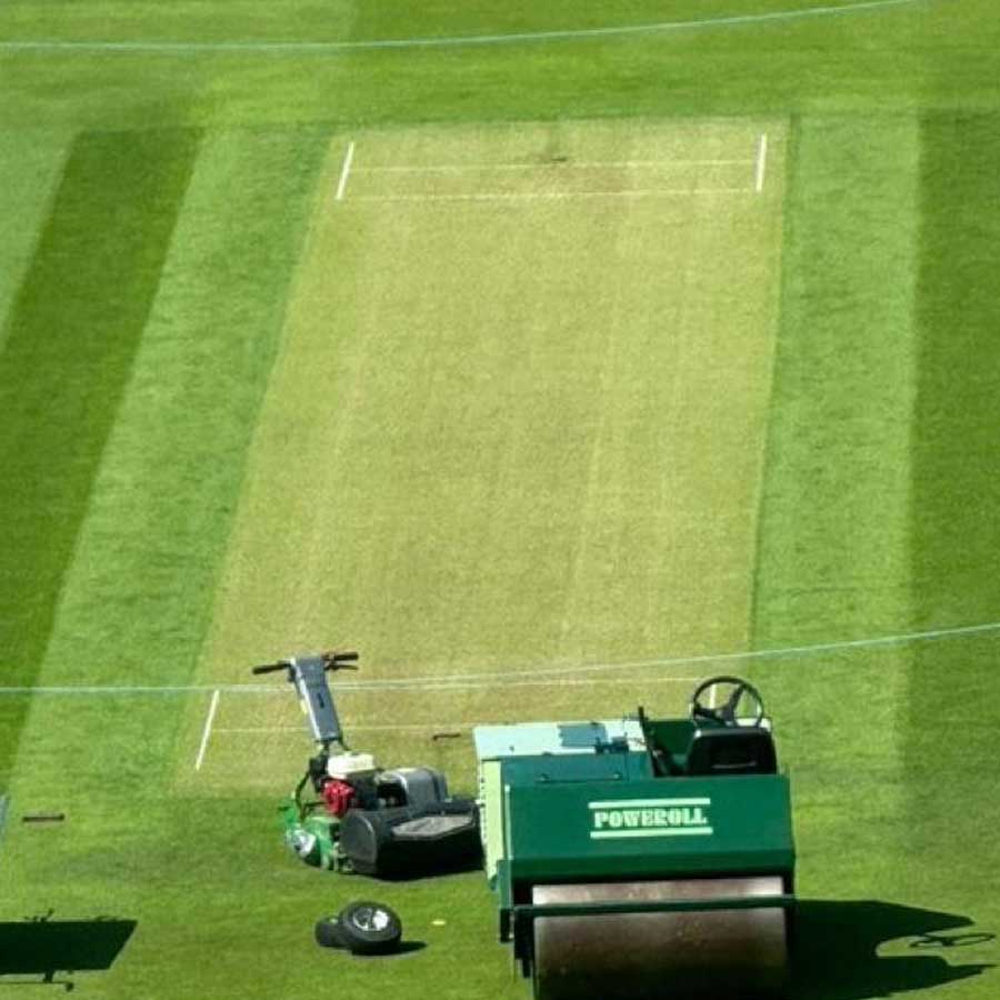 picture of cricket