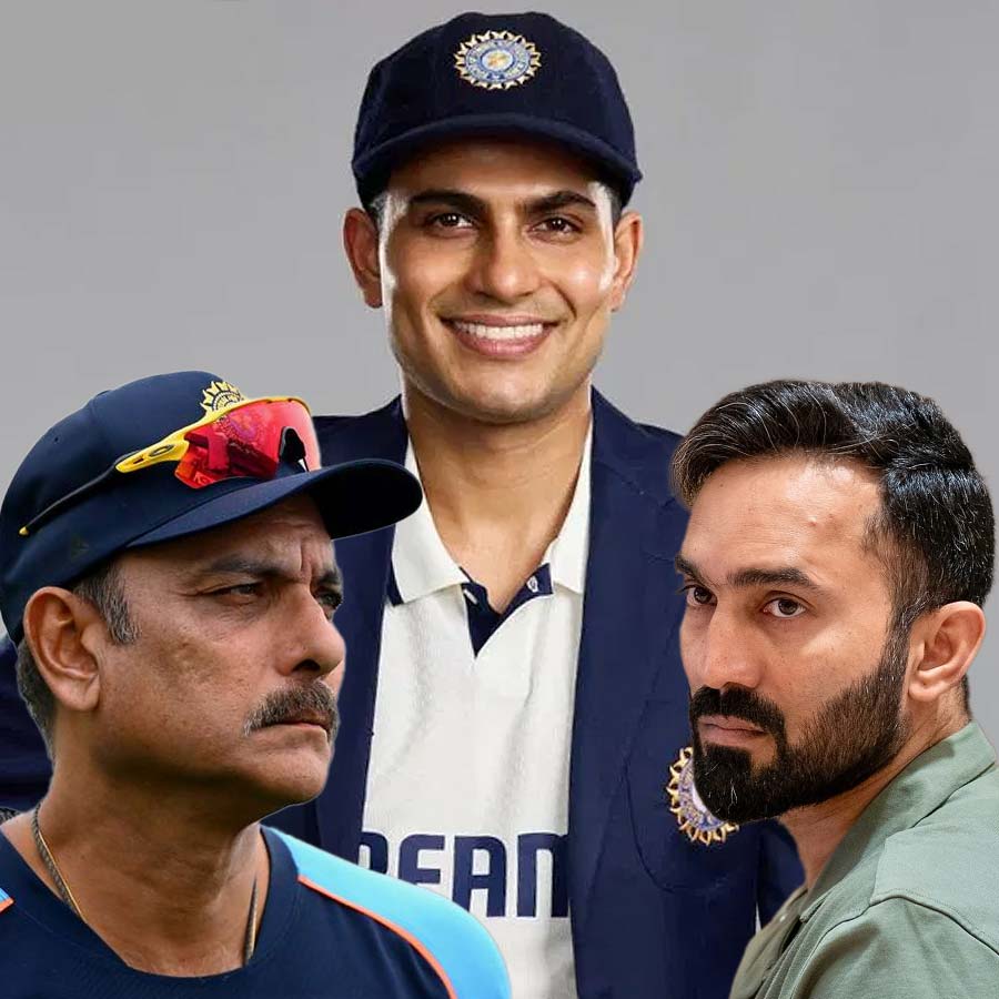 picture of cricket