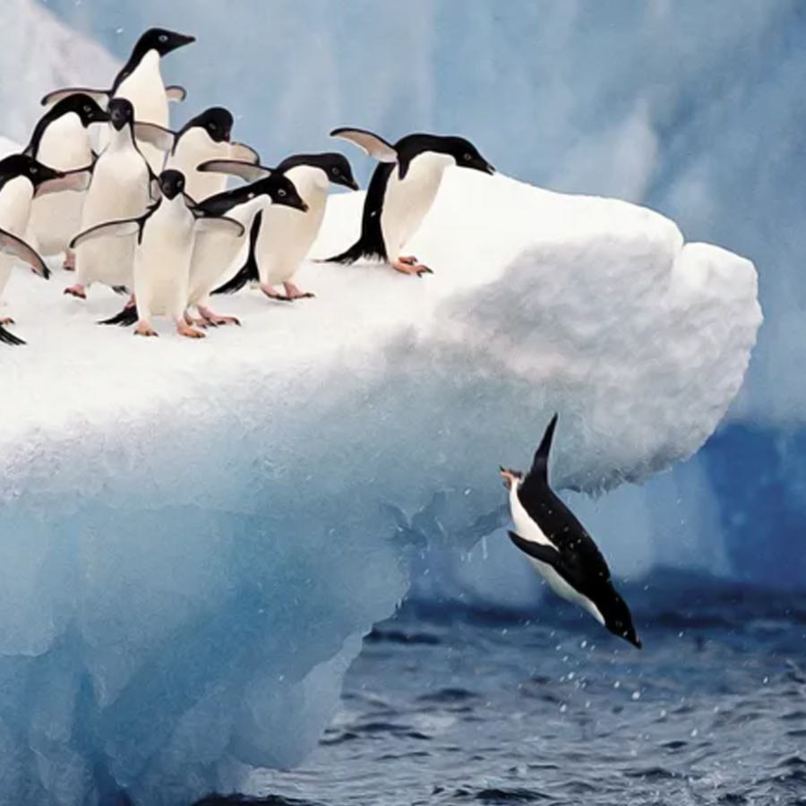 Antarctica’s oil jackpot