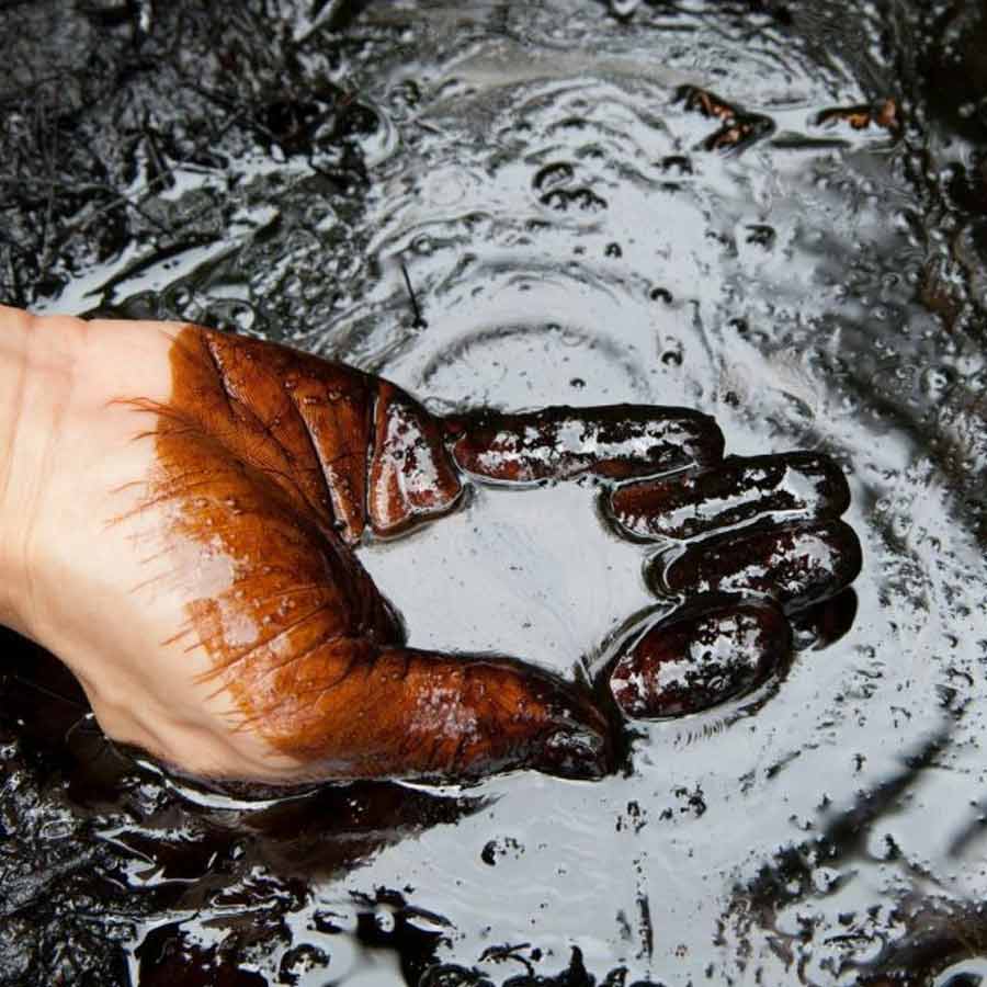 Antarctica’s oil jackpot