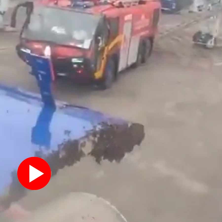 Video of swarm of bees surround Surat Jaipur Indigo flight causing one hour delay goes viral dgtl