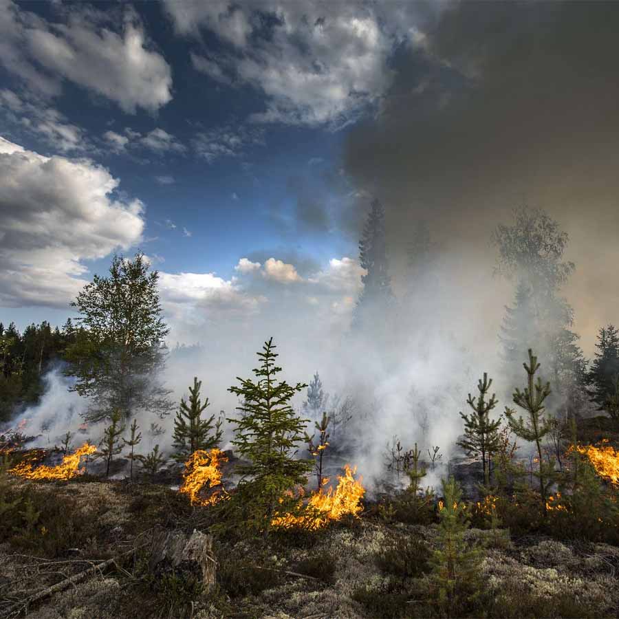 Wildfires rage in Europe as extreme heat and strong wind continue in France and Spain dgtl