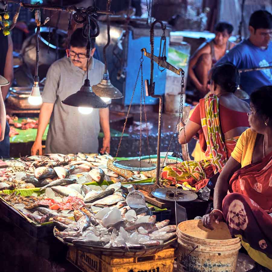 How to identify good quality Hilsa fish during monsoon season dgtl