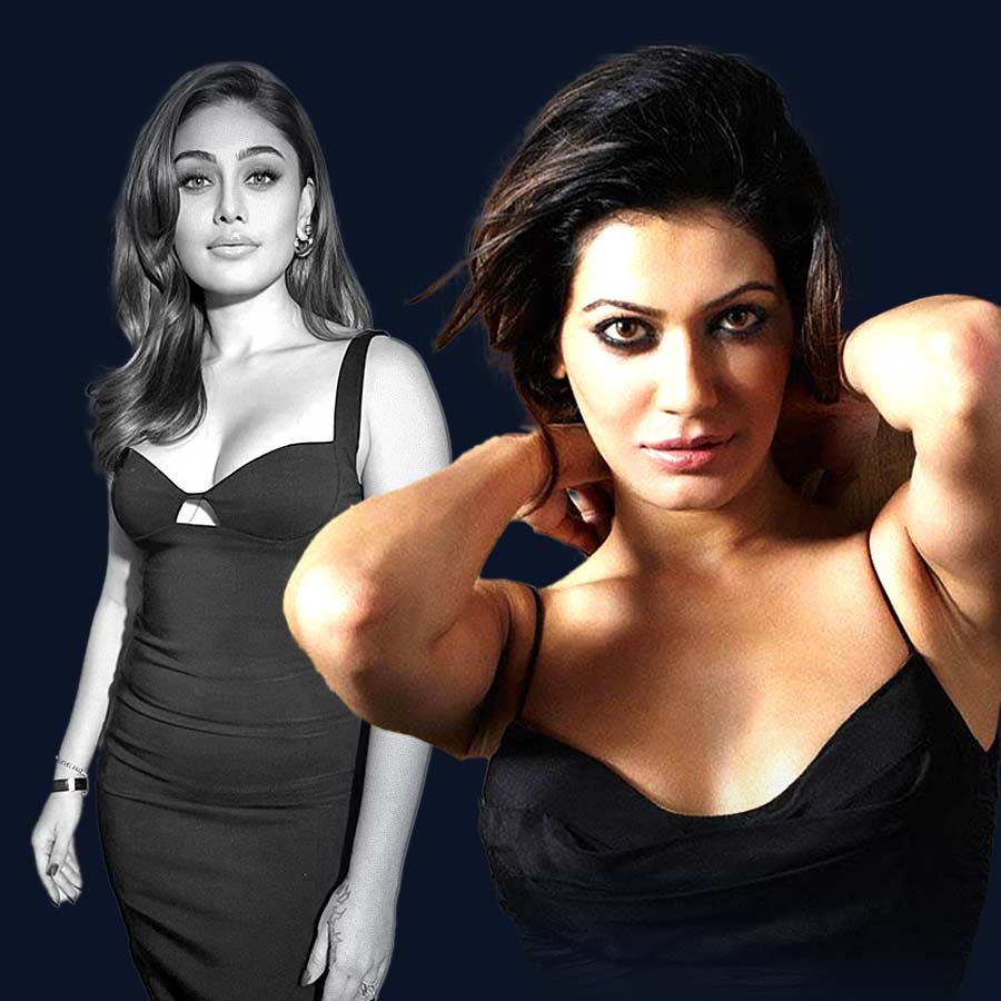 Payal Rohatgi reportedly made fun of Shefali Jariwala while talking to a journalist dgtl