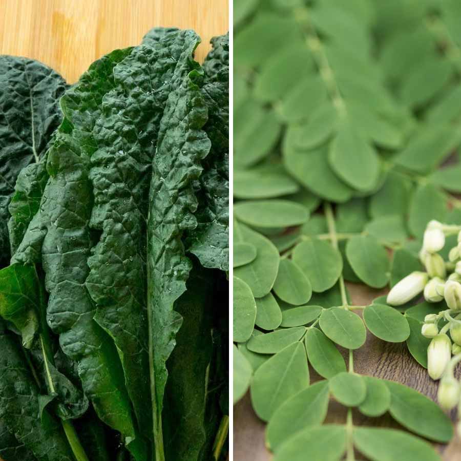 কালের চেয়ে সজনেপাতা পুষ্টিগুণে মোটেই কম নয়।