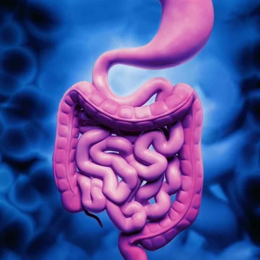 After 40 notice these 5 major changes in gut health
