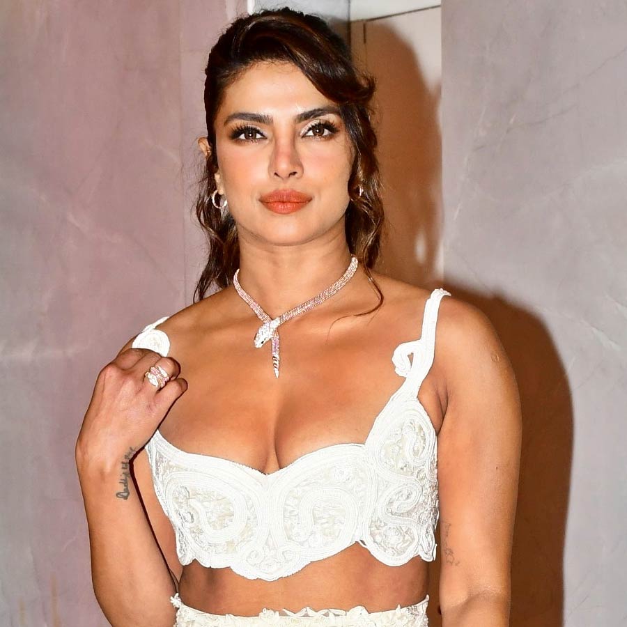 Actress Priyanka Chopra shared a cryptic post which created speculation among fans dgtl