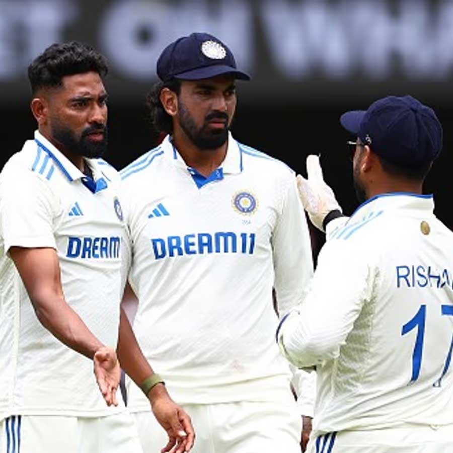 picture of cricket