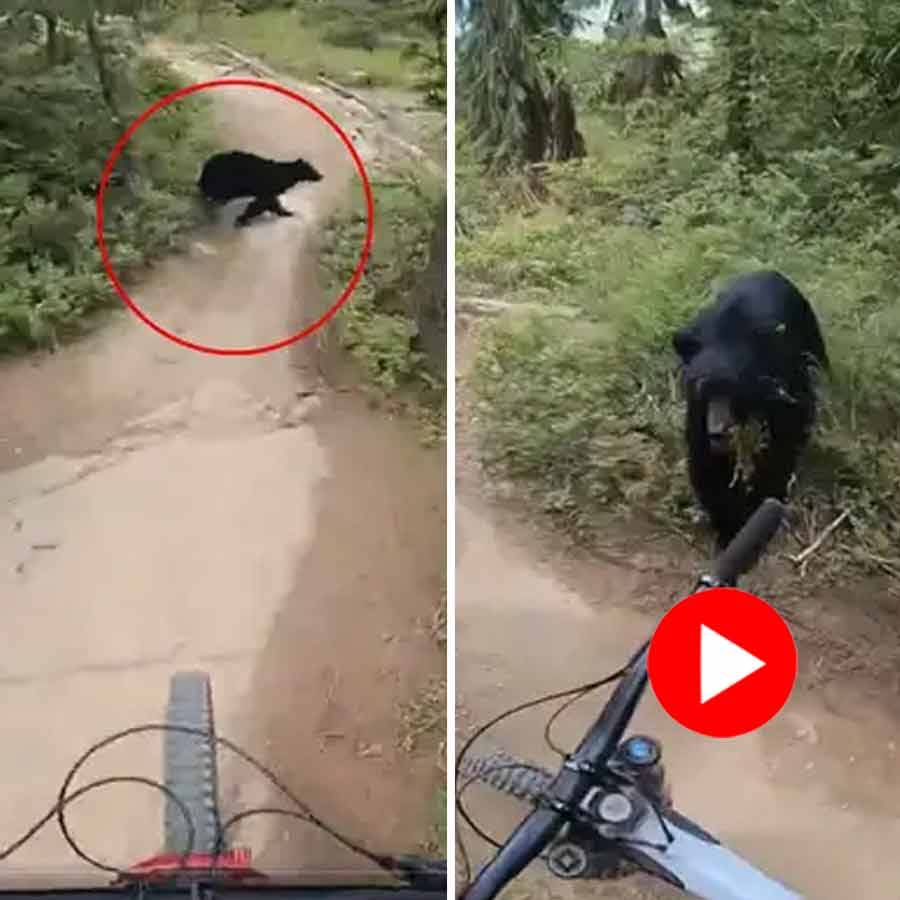 A teen was biking through the trails when a bear suddenly appeared