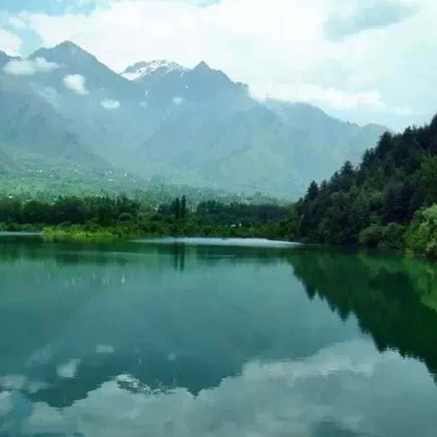 Wular lake filled with Lotus again after more than 30 years, what exactly has happened