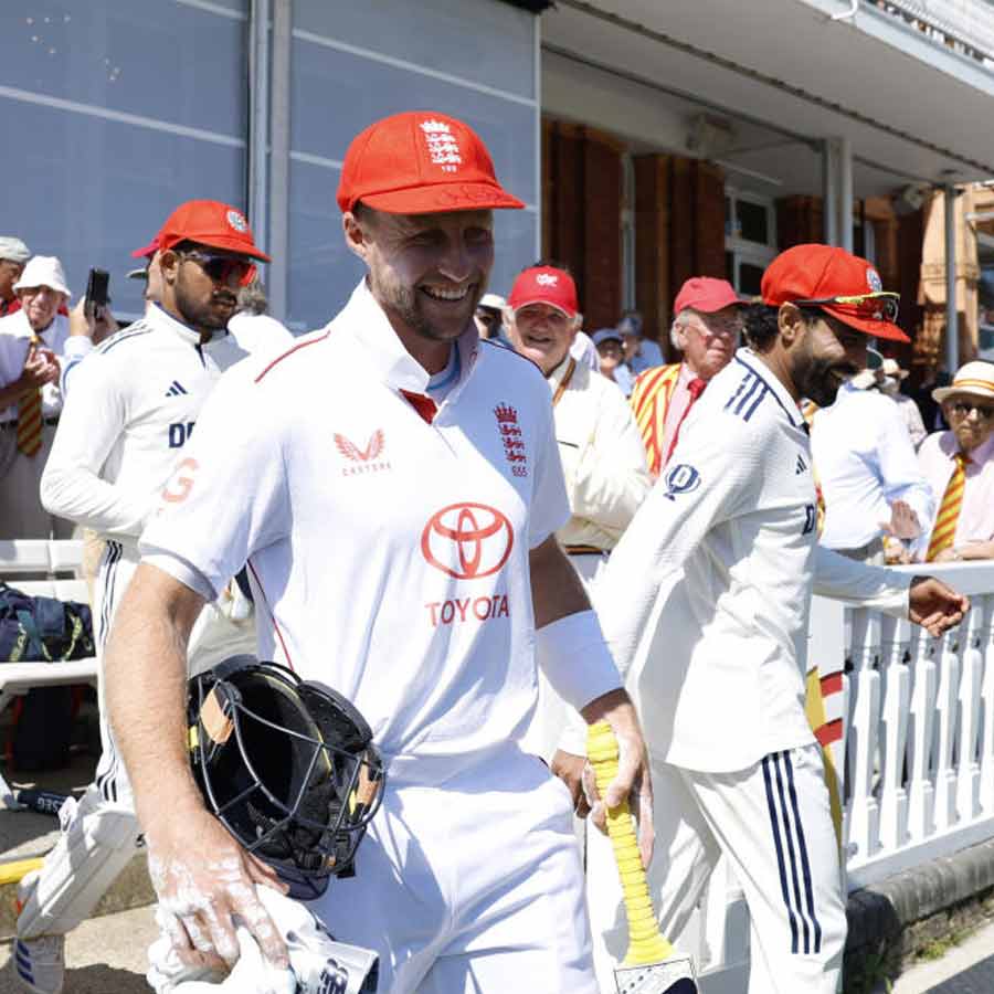 picture of cricket
