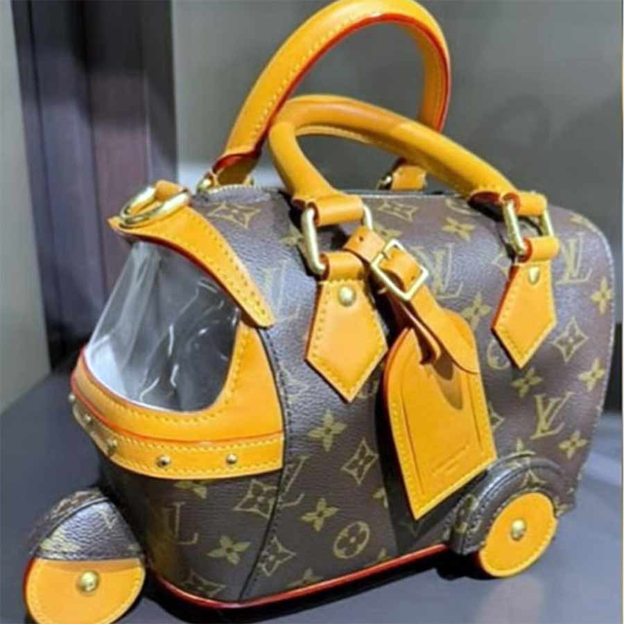 Trending auto-rickshaw bag attracting eyes