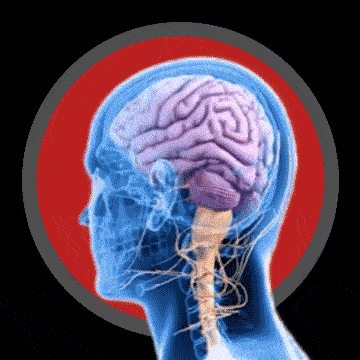 Youthfulness of our brain can predict how long we will live dgtl