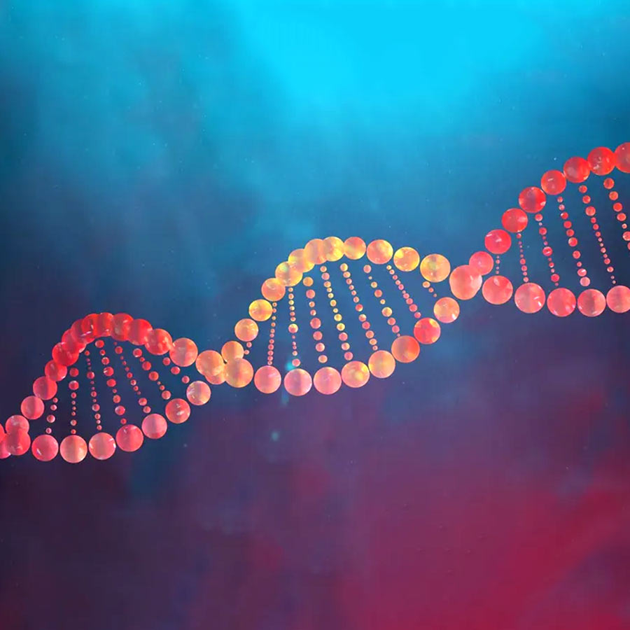 Artificial human DNA
