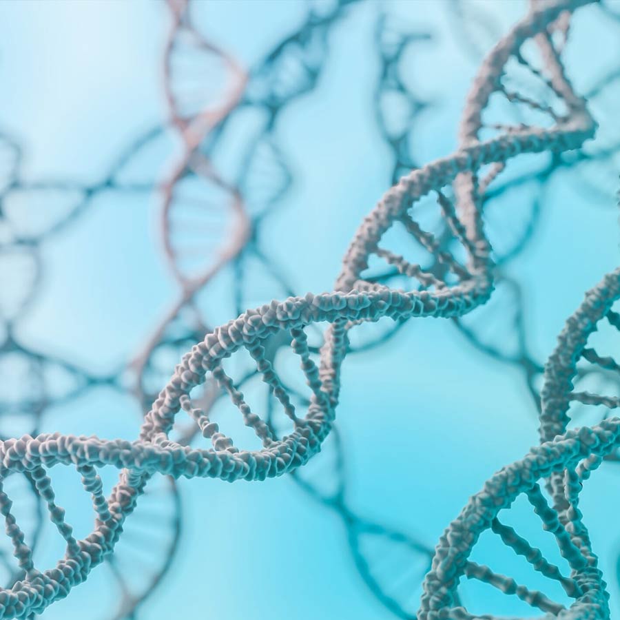 Artificial human DNA