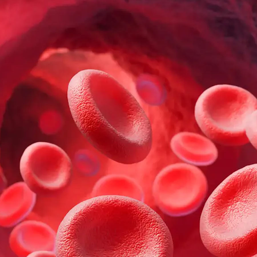 Artificial human DNA