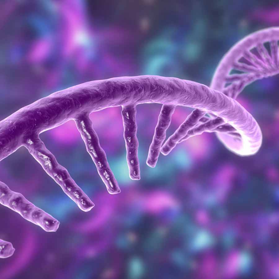 Artificial human DNA