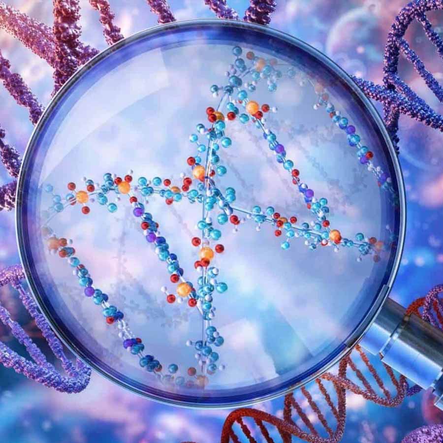 Artificial human DNA