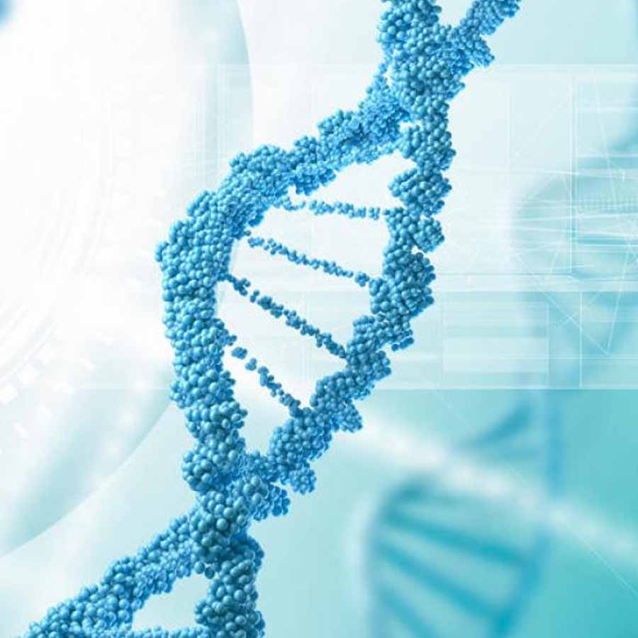 Artificial human DNA