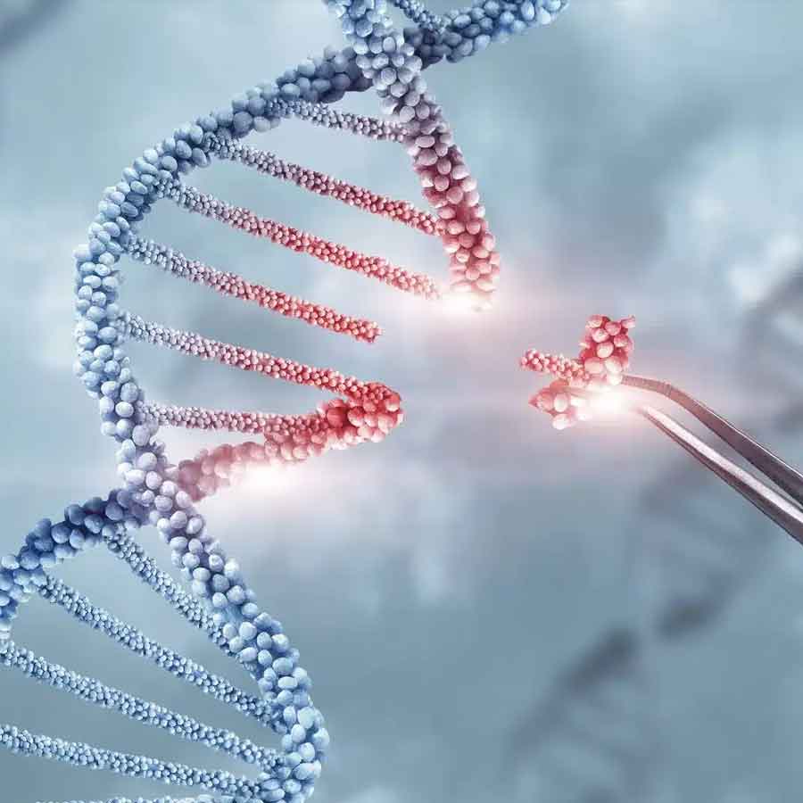 Artificial human DNA