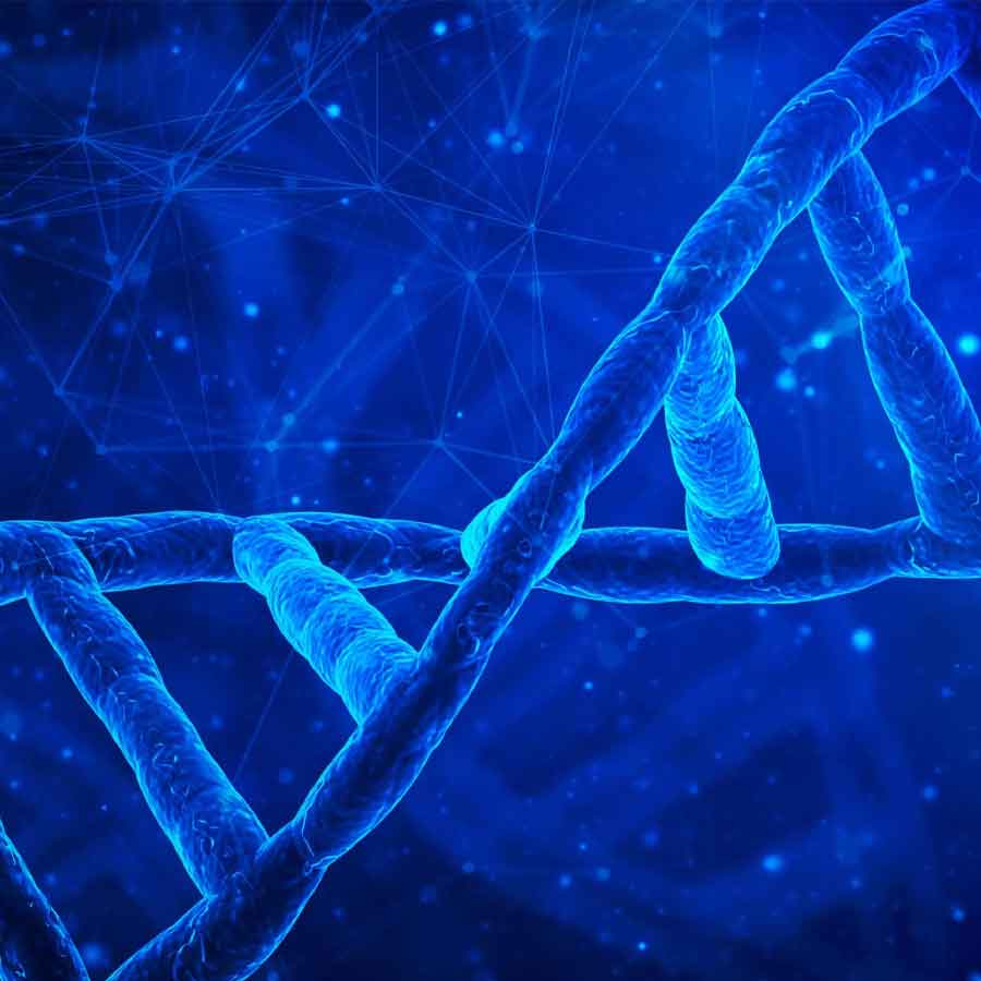 Artificial human DNA