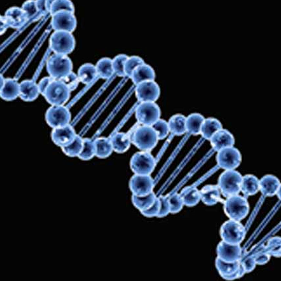 Artificial human DNA