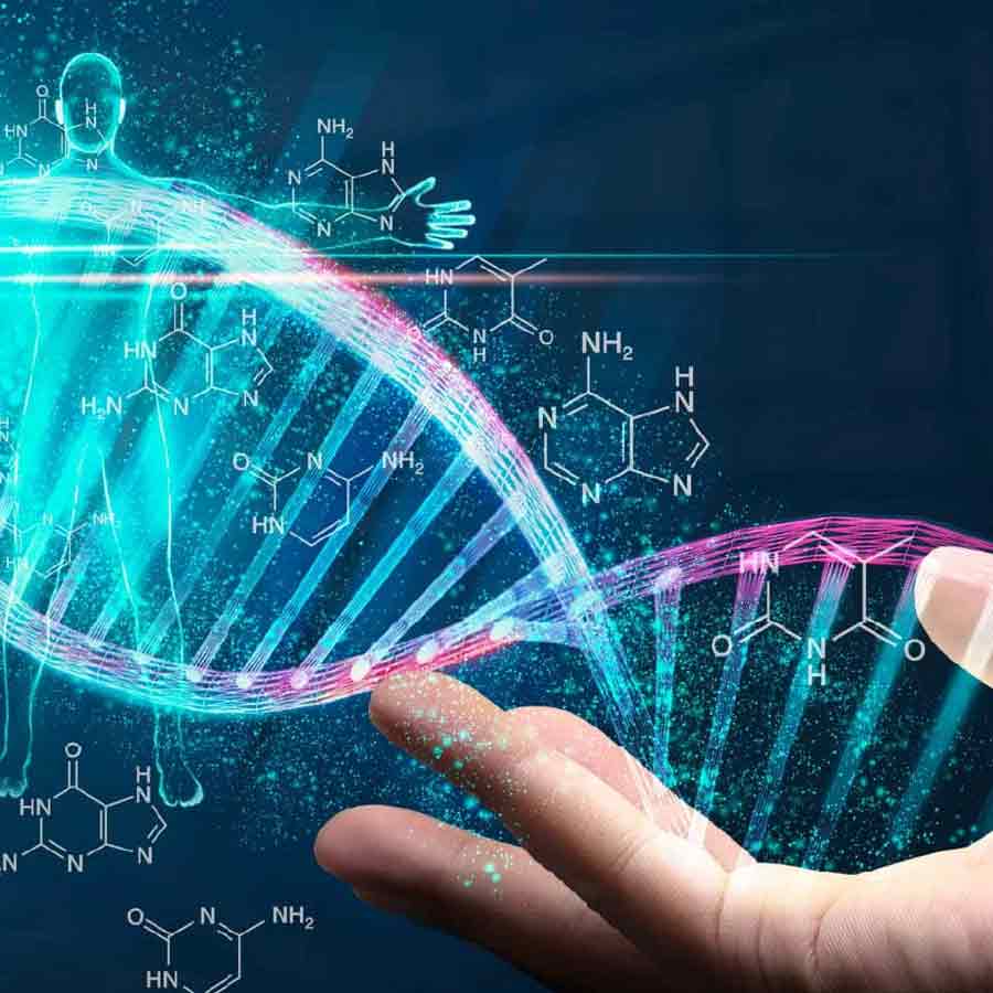 Artificial human DNA