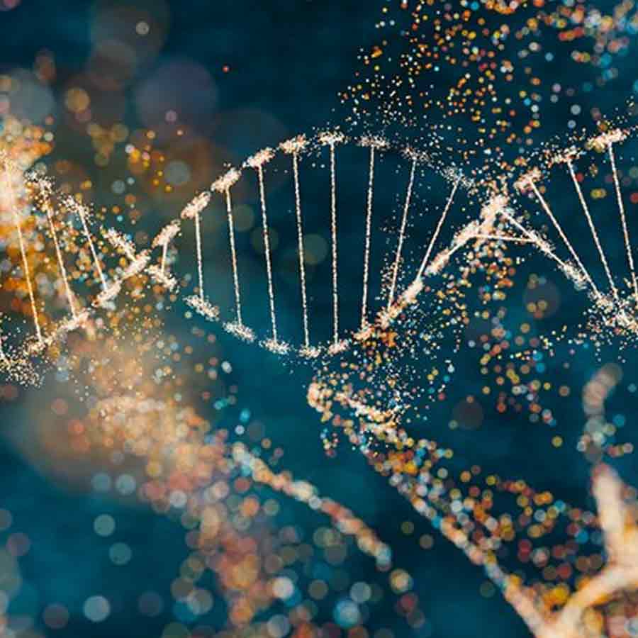 Artificial human DNA