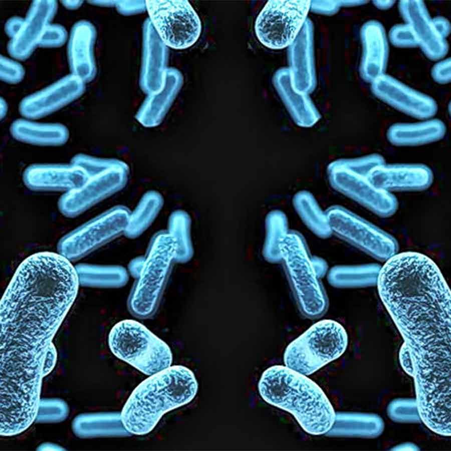 Maybe the next pandemic will start with a germ, we created