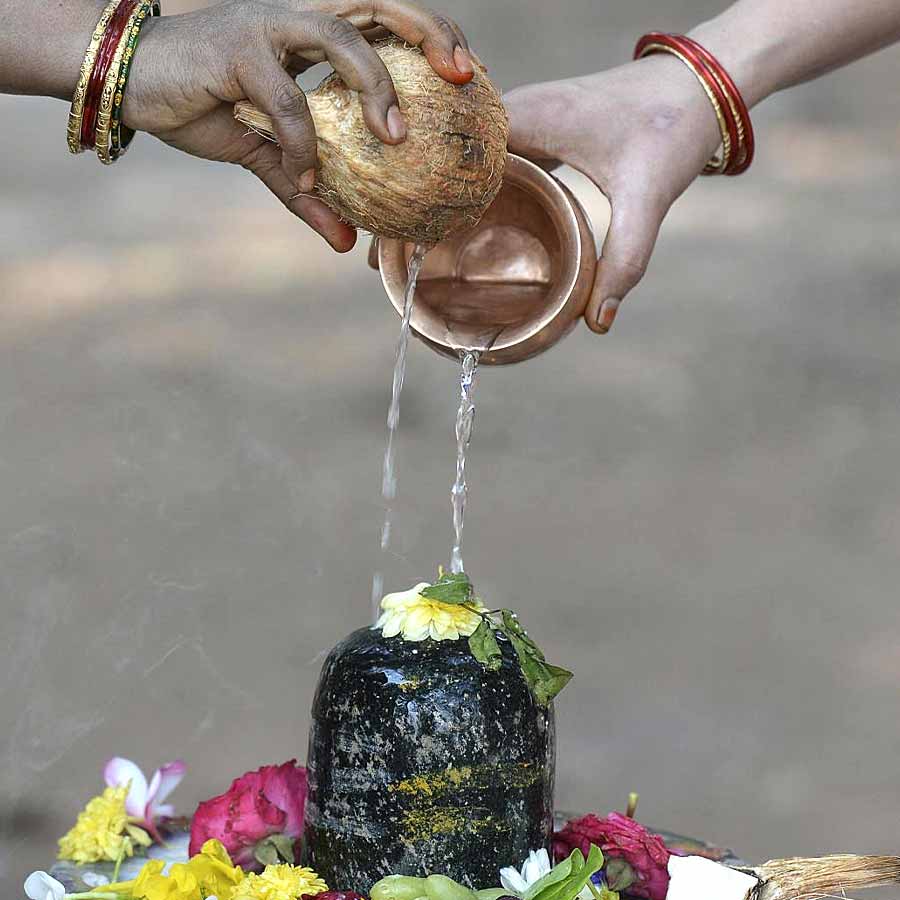 shiv