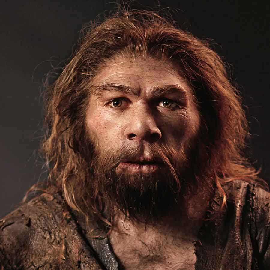 প্রাচীন মানব প্রজাতি নিয়ানডারথাল।