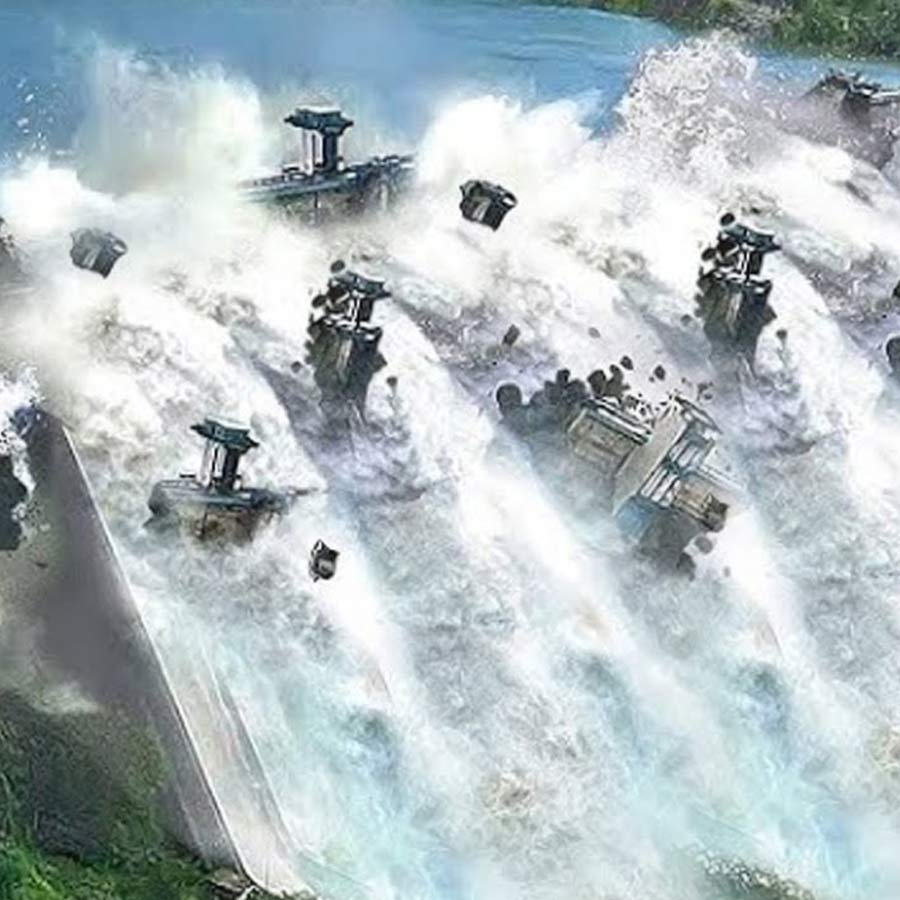 China dismantled 300 dams and shuts down hydropower stations to save Red River rare fish 