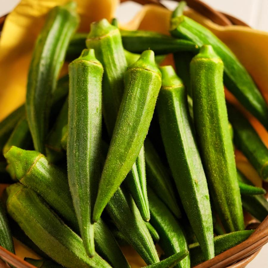 The effect of over nutrition and obesity on brain can be reversed by Okra or Ladies finger dgtl