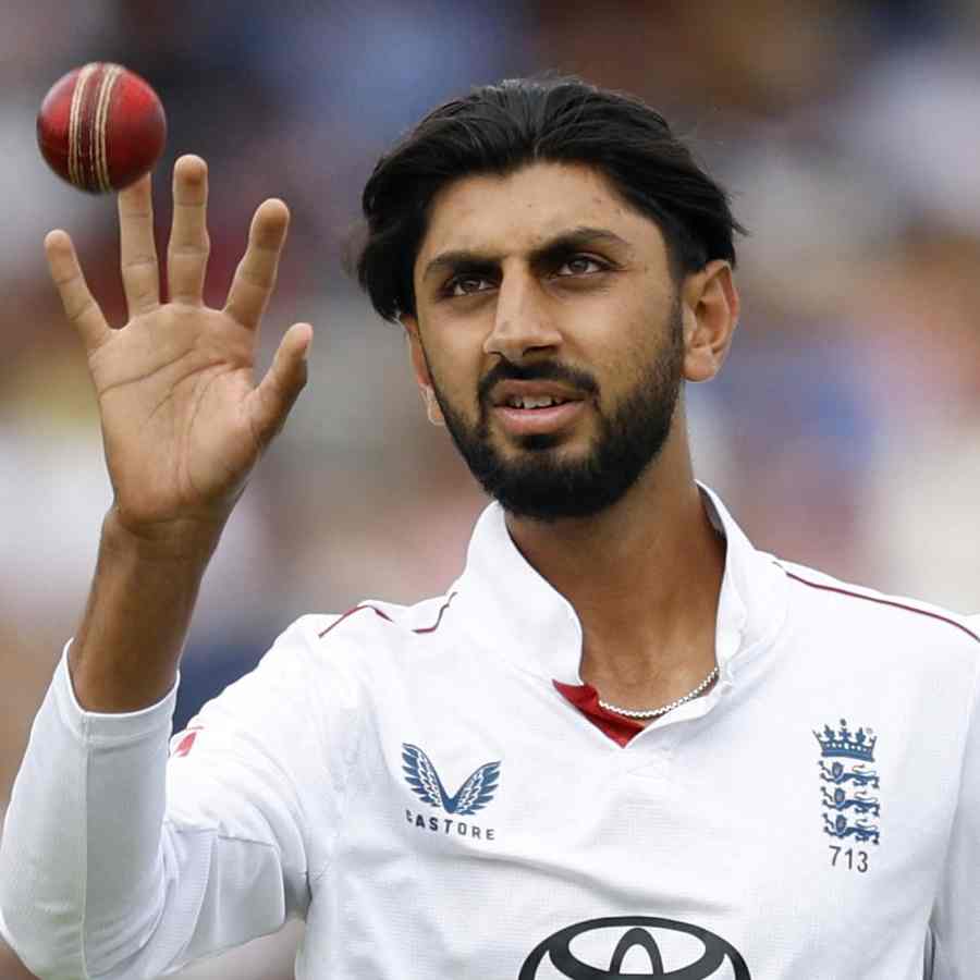 cricket