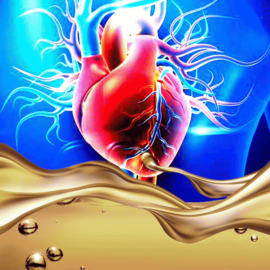 Cardiologist shares four food items that must never enter your home dgtl