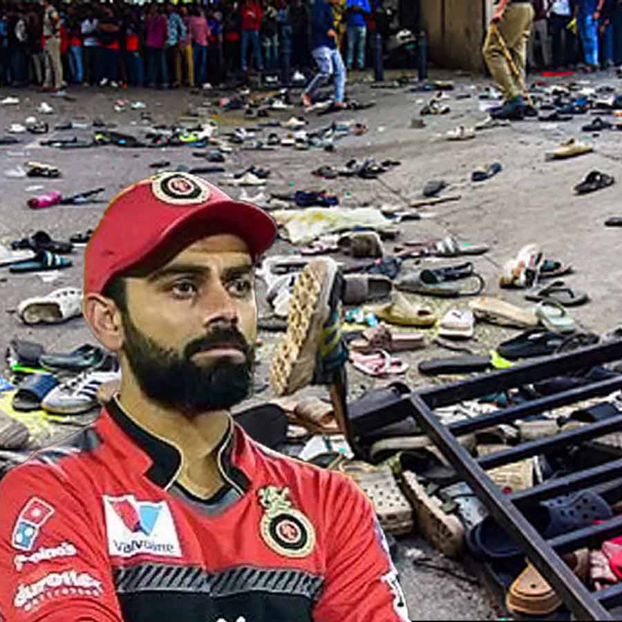cricket
