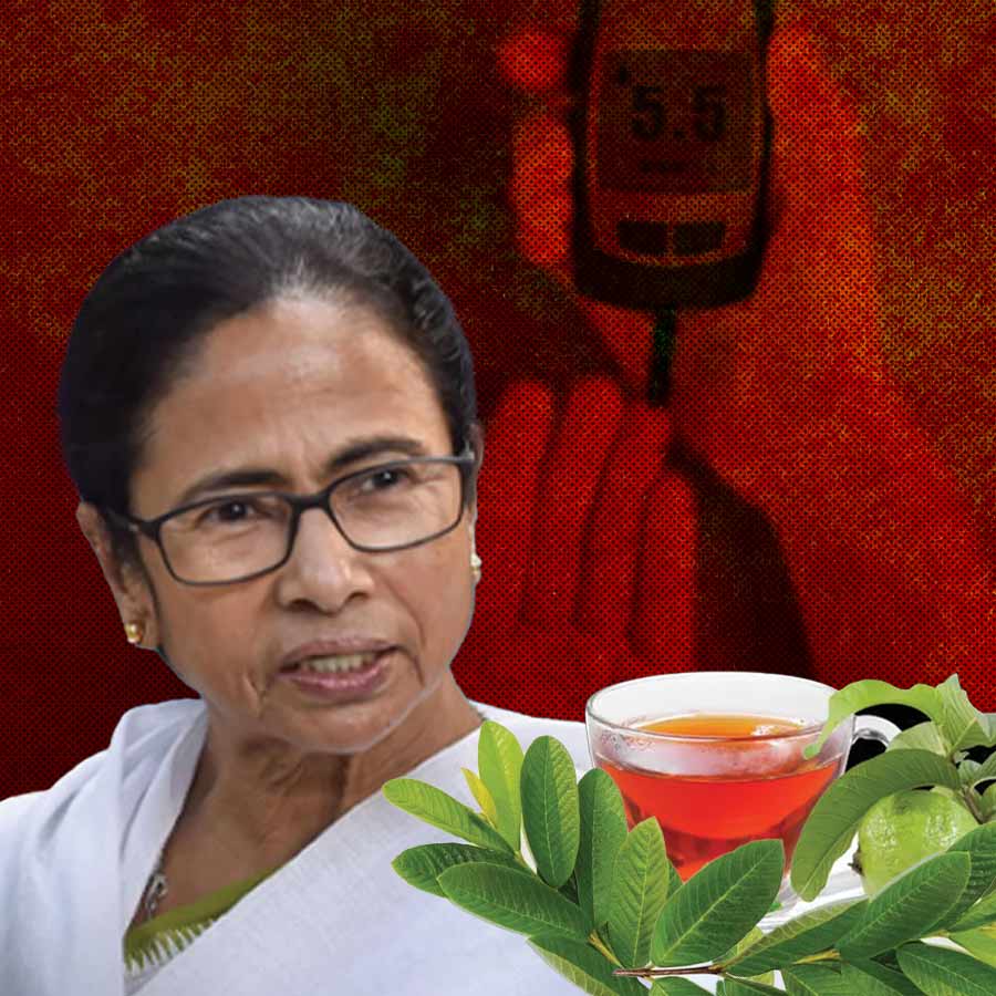 Mamata Banerjee prescribes guava leaf tea as diabetic medicine dgtl