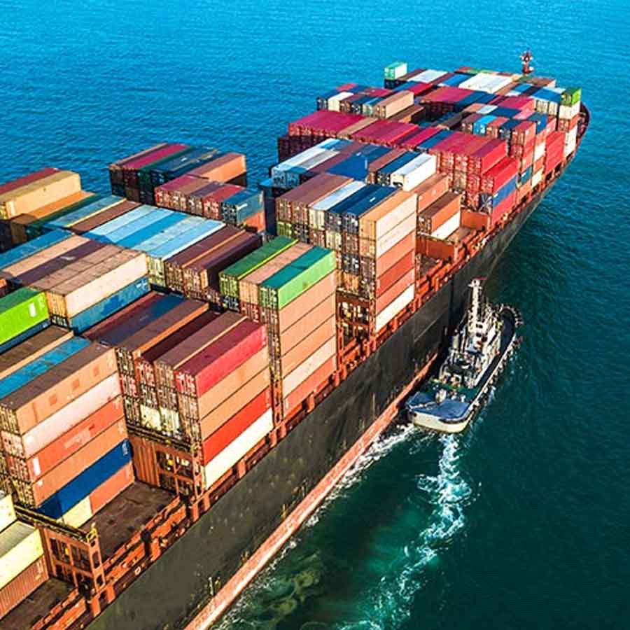 India US interim trade deal impact on agriculture, dairy and other sectors