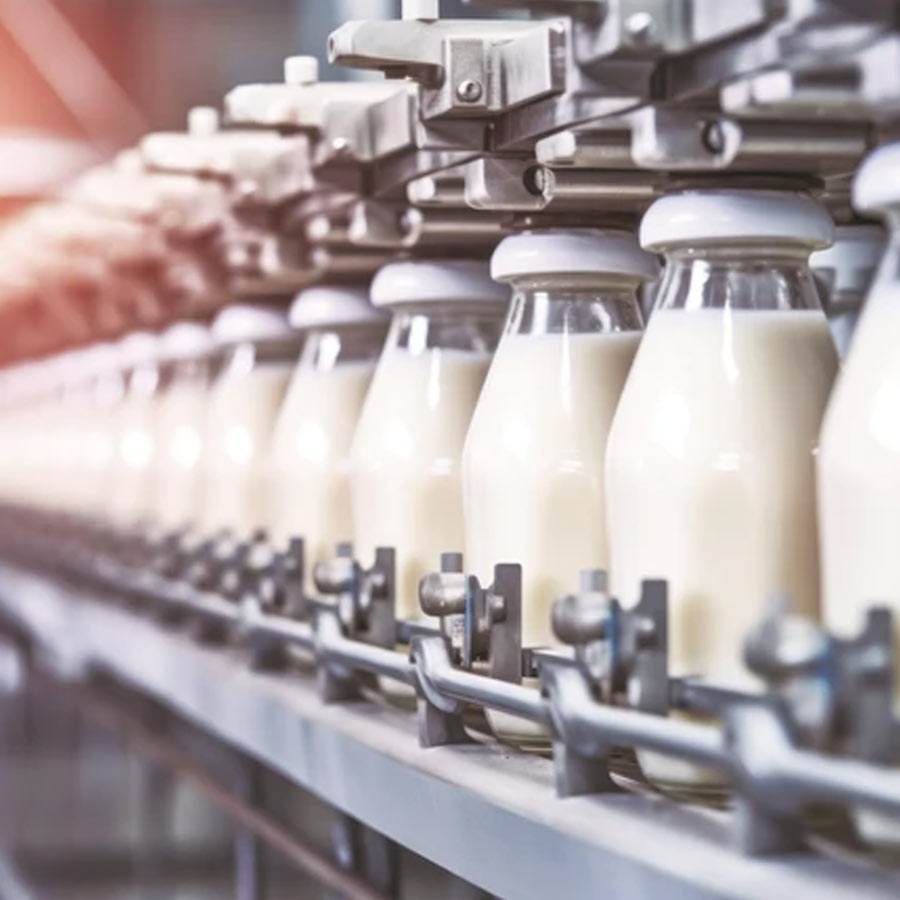 India US interim trade deal impact on agriculture, dairy and other sectors