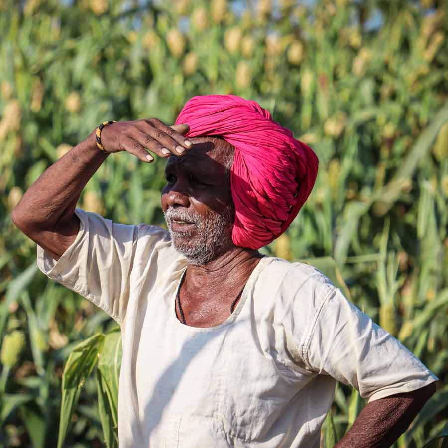 India US interim trade deal impact on agriculture, dairy and other sectors