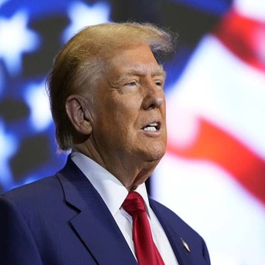 India US interim trade deal impact on agriculture, dairy and other sectors