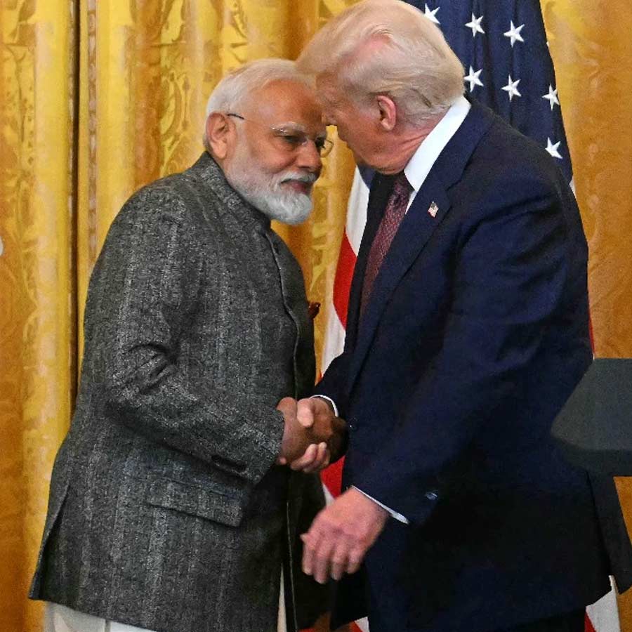 India US interim trade deal impact on agriculture, dairy and other sectors